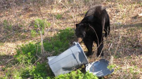 A visual representation of last Saturday's game at Carrow Road