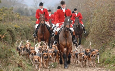 fox-hunting_2772078b